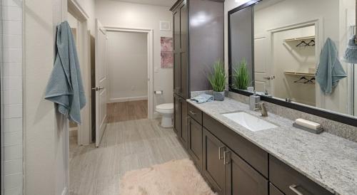 Two Bedroom Apartment Rentals in Spring, TX - Model Bathroom with Brushed Nickle Fixtures 