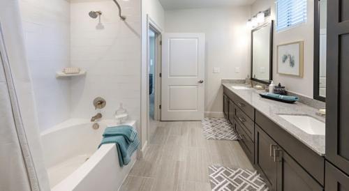 Two Bedroom Apartment Rentals in Spring, TX - Model Bathroom with Custom Cabinets with Ample Storage Space 